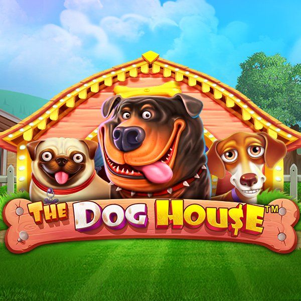 Dog House